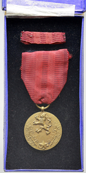 Medaile za službu vlasti, bronz I. vydání, stužka, etue